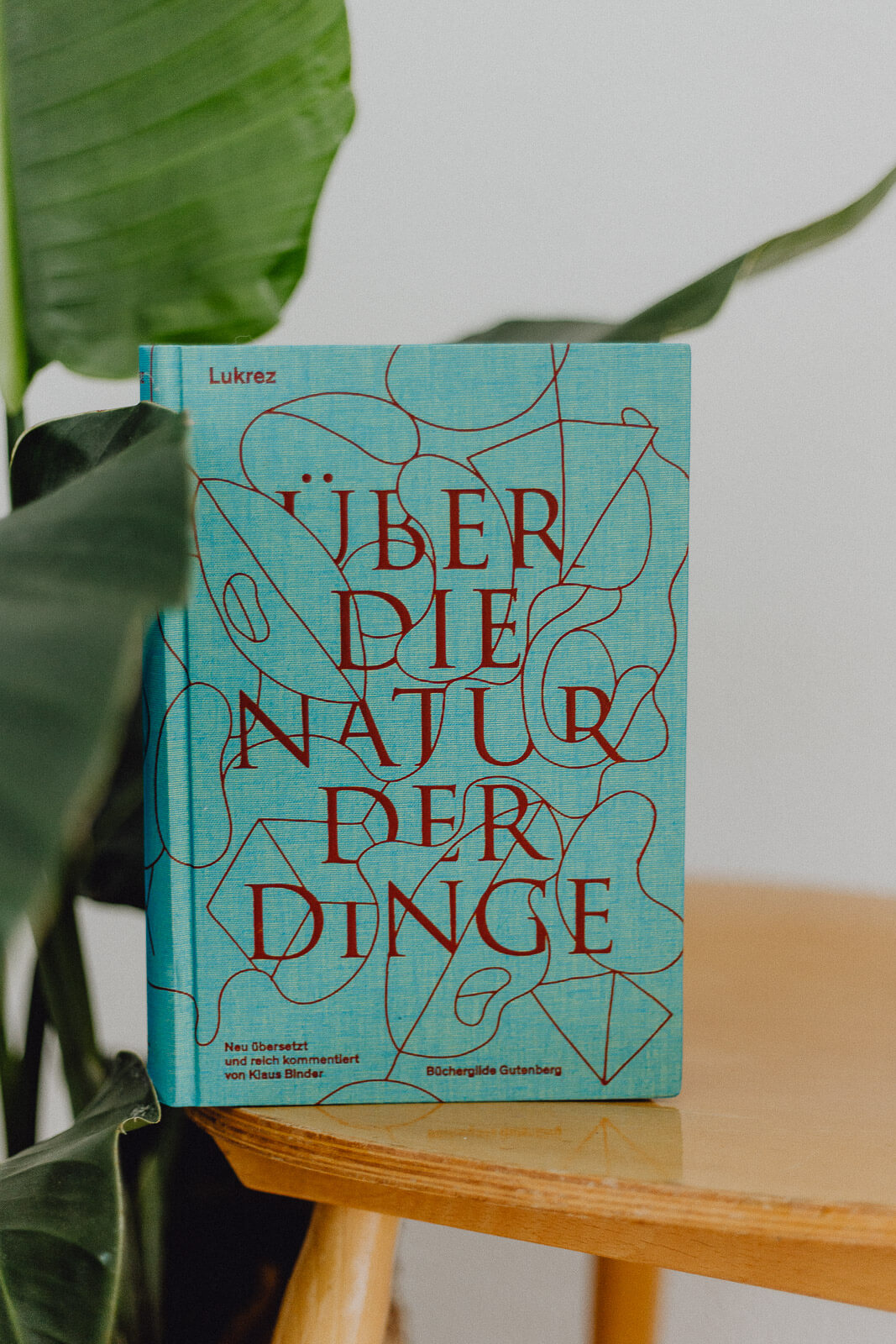 Bücherliste, Leseliste, Buchempfehlung, Lesen, Lese-Empfehlungen, Leseninspiration, Buchblogger, Bücher für den Sommer, Sommerlektüre, Sommerbücher, Sommerleseliste, Sommer Lesen Bücher, Bücher vegan, Bücher Klima, Bücher Nachhaltigkeit, Bücher Gesellschaft, Bücherliste