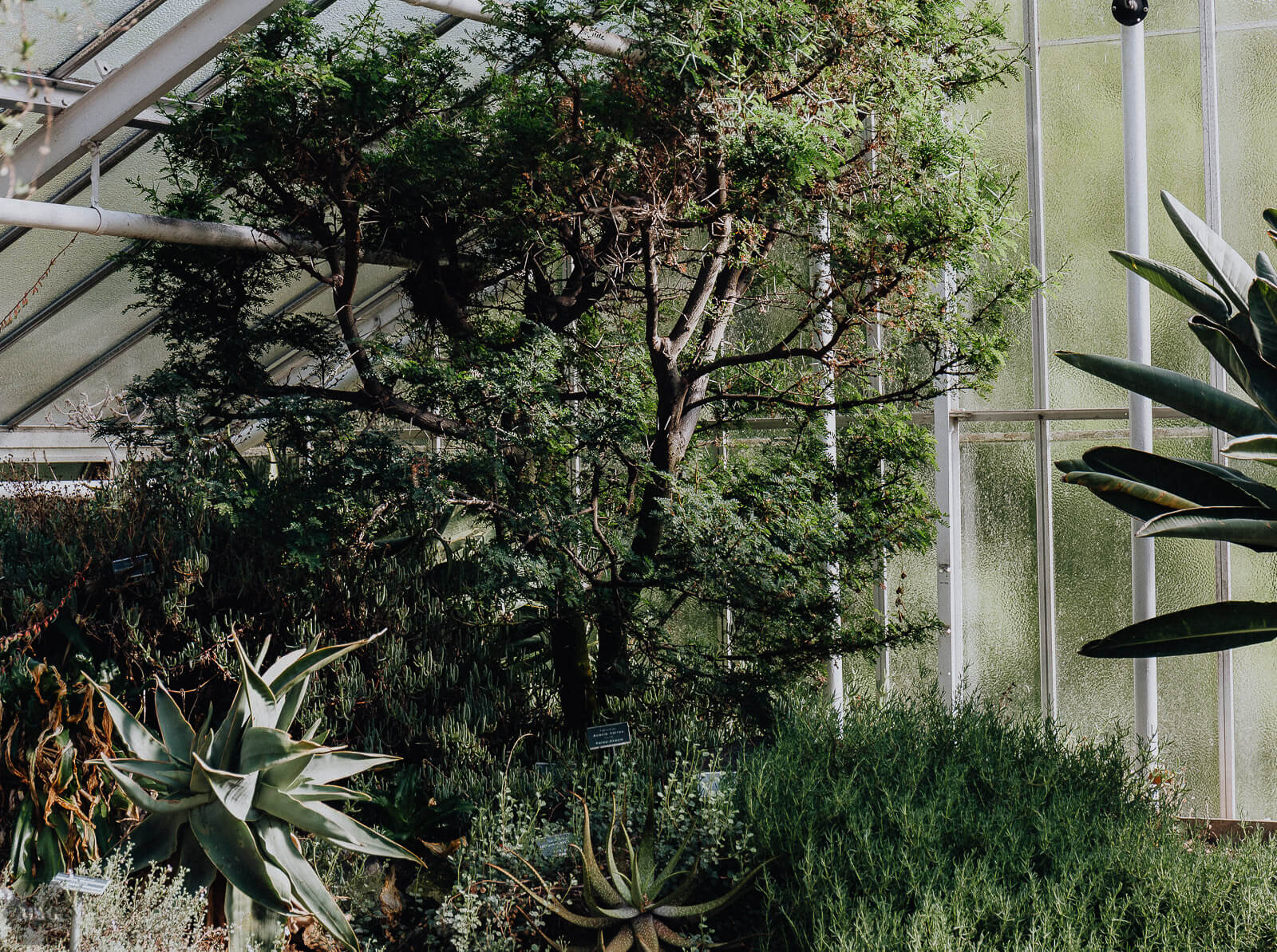 deine Entscheidung, verantwortungsvoll leben, ethisch leben, Ethik leben vegan, nachhaltig leben, Nachhaltigkeit blog, nachhaltig leben, nachhaltig leben öko, grün leben, gründe für nachhaltiges leben, achtsam leben, Achtsamkeit, ethische Verantwortung