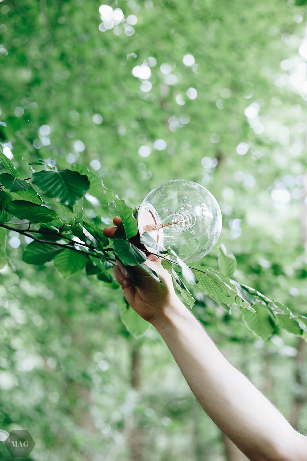Greenpeace Energy, Ökostrom, Greenpeace Energy Ökostrom, Wechsel zu Ökostrom von Greenpeace, Wechsel zu Ökostrom Greenpeace Anleitung, Energywende, Umsteigen nachhaltiger Strom, Ökostrom Wechsel