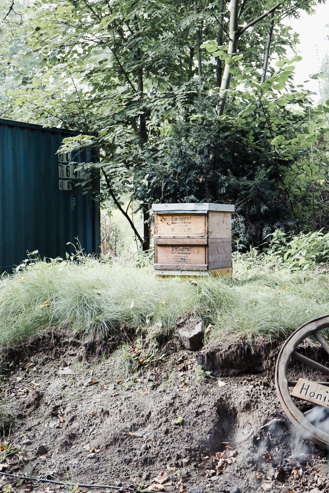 Bienen und Veganer, Bienen vegan, Honig vegan, Veganer und Honig, Honig und vegan, Honig vegan, veganer Honig, guter Honig, wesensgerecht Imkern, Honig Tierschutz, Honig Naturschutz