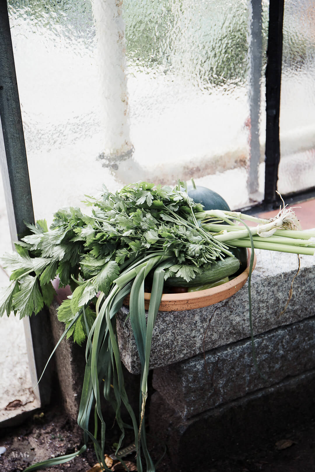 Gewächshaus, Waldsinnig, Landschaftsgartenbau Münster, Gartenbau Münster, Scheidtmann Gartenbau Münster, Scheidtmann Gartenbau, Landschaftsbau Scheidtmann Münster, Gartenbau Münster, Gewächshaus, saisonales Gemüse, Selbstversoger