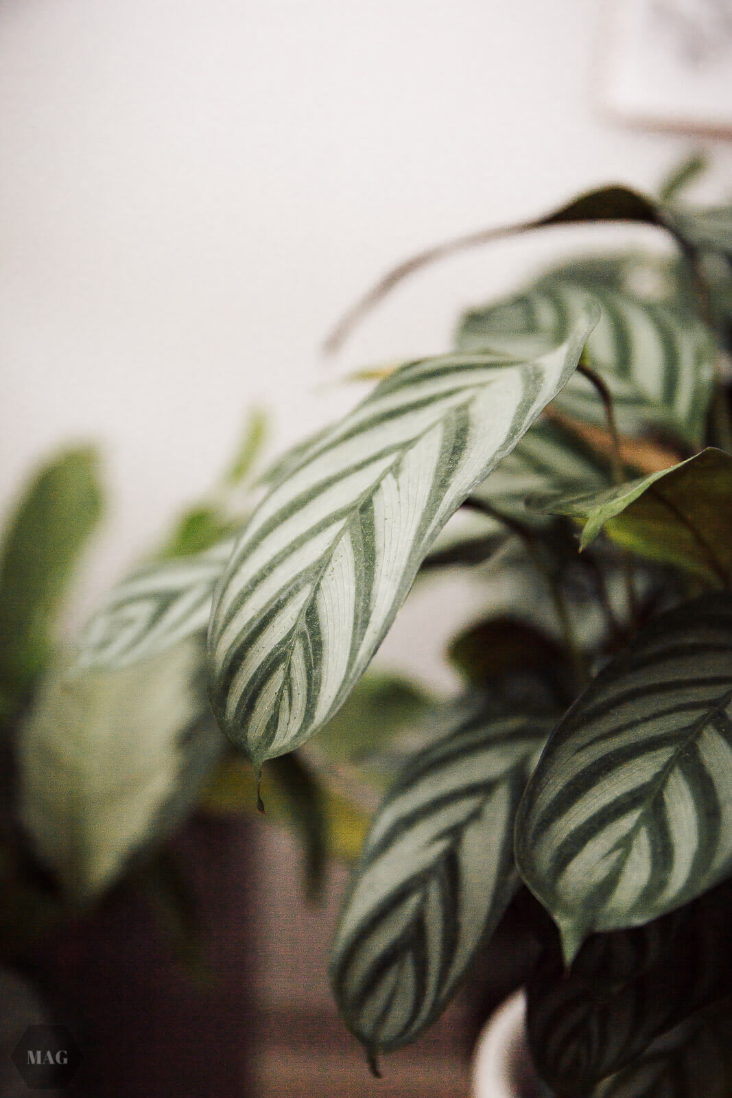 ich mache nicht genug, umweltschutz, klima, veganismus, gesellschaftskritik, generation, die nicht leiden musste, generation y