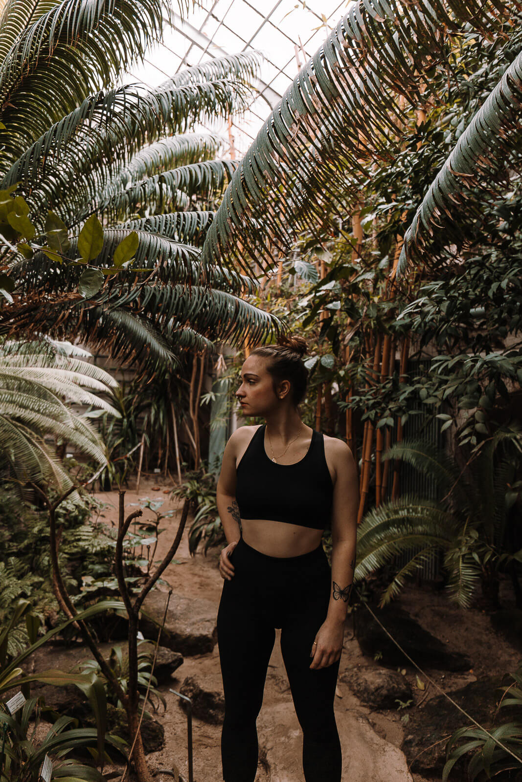 introvertiert, Empathie, empathisch werden, intensiver fühlen, fühlen lernen, Weltschmerz, Gesellschaft emphatischer werden, intensiver fühlen, Empathie, hochsensibel, Hochsensibilität