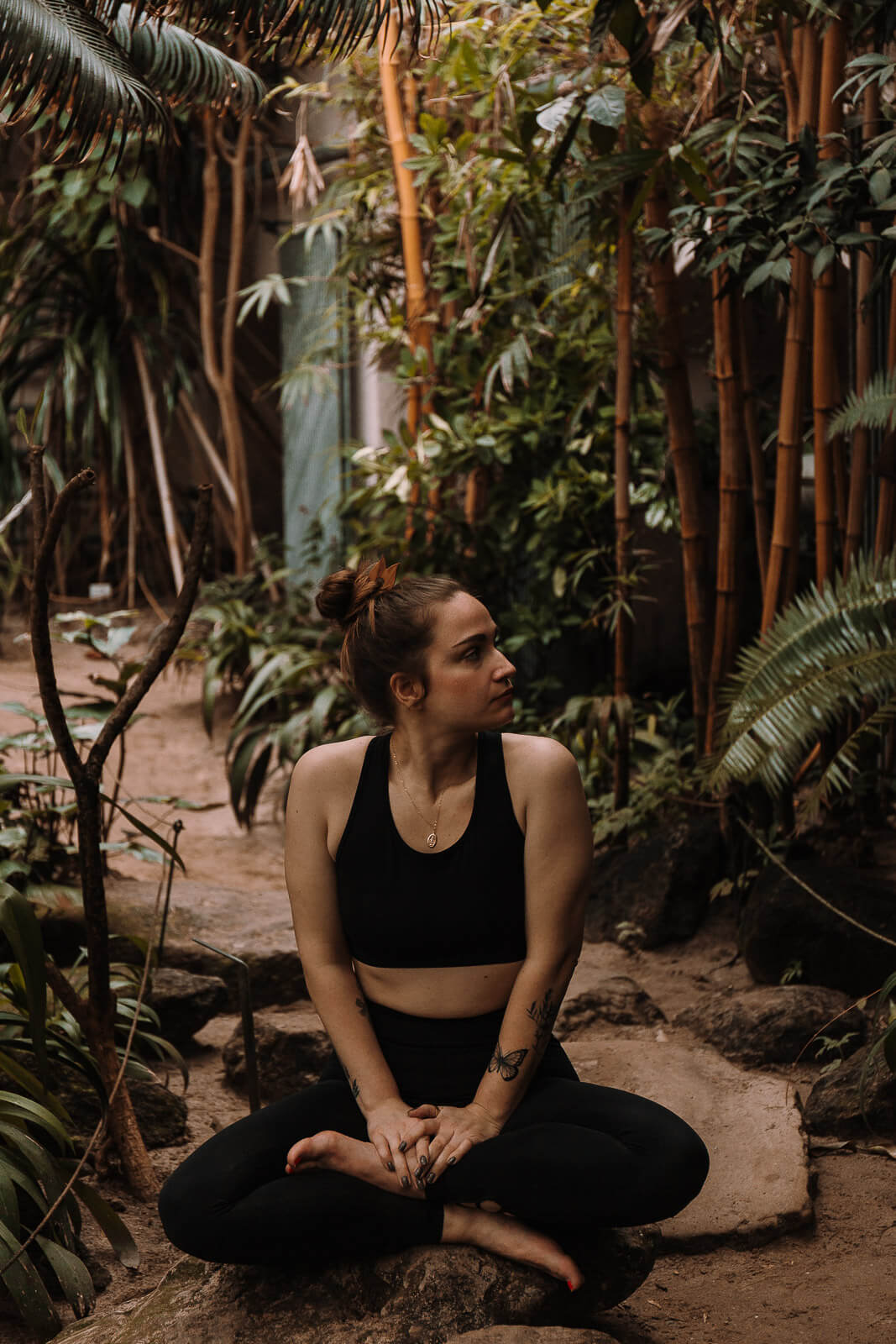 introvertiert, Empathie, empathisch werden, intensiver fühlen, fühlen lernen, Weltschmerz, Gesellschaft emphatischer werden, intensiver fühlen, Empathie, hochsensibel, Hochsensibilität