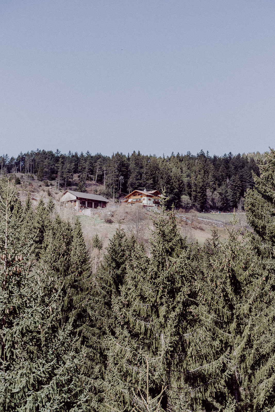 lana, Lana Italien, Lana Südtirol, Reise nach Südtirol, Reisen Südtirol vegan, Vegan Reisen, Vegan Reisen Blog, Südtirol Bio Hotel, Bio Hotel, Bio Reisen Italien, Reisen Italien Blog, Reisen Italien Erfahrungen, Reisen Südtirol Erfahrungen, Bozen Italien Blog