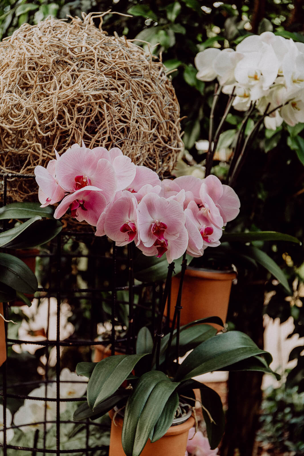 lana, Lana Italien, Lana Südtirol, Reise nach Südtirol, Reisen Südtirol vegan, Vegan Reisen, Vegan Reisen Blog, Südtirol Bio Hotel, Bio Hotel, Bio Reisen Italien, Reisen Italien Blog, Reisen Italien Erfahrungen, Reisen Südtirol Erfahrungen, Bozen Italien Blog