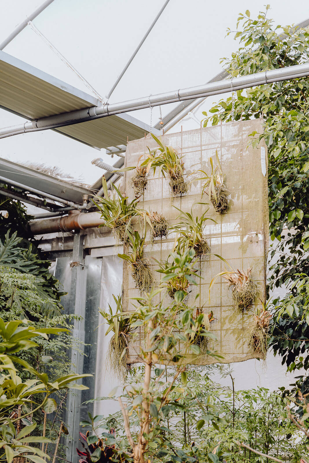 lana, Lana Italien, Lana Südtirol, Reise nach Südtirol, Reisen Südtirol vegan, Vegan Reisen, Vegan Reisen Blog, Südtirol Bio Hotel, Bio Hotel, Bio Reisen Italien, Reisen Italien Blog, Reisen Italien Erfahrungen, Reisen Südtirol Erfahrungen, Bozen Italien Blog