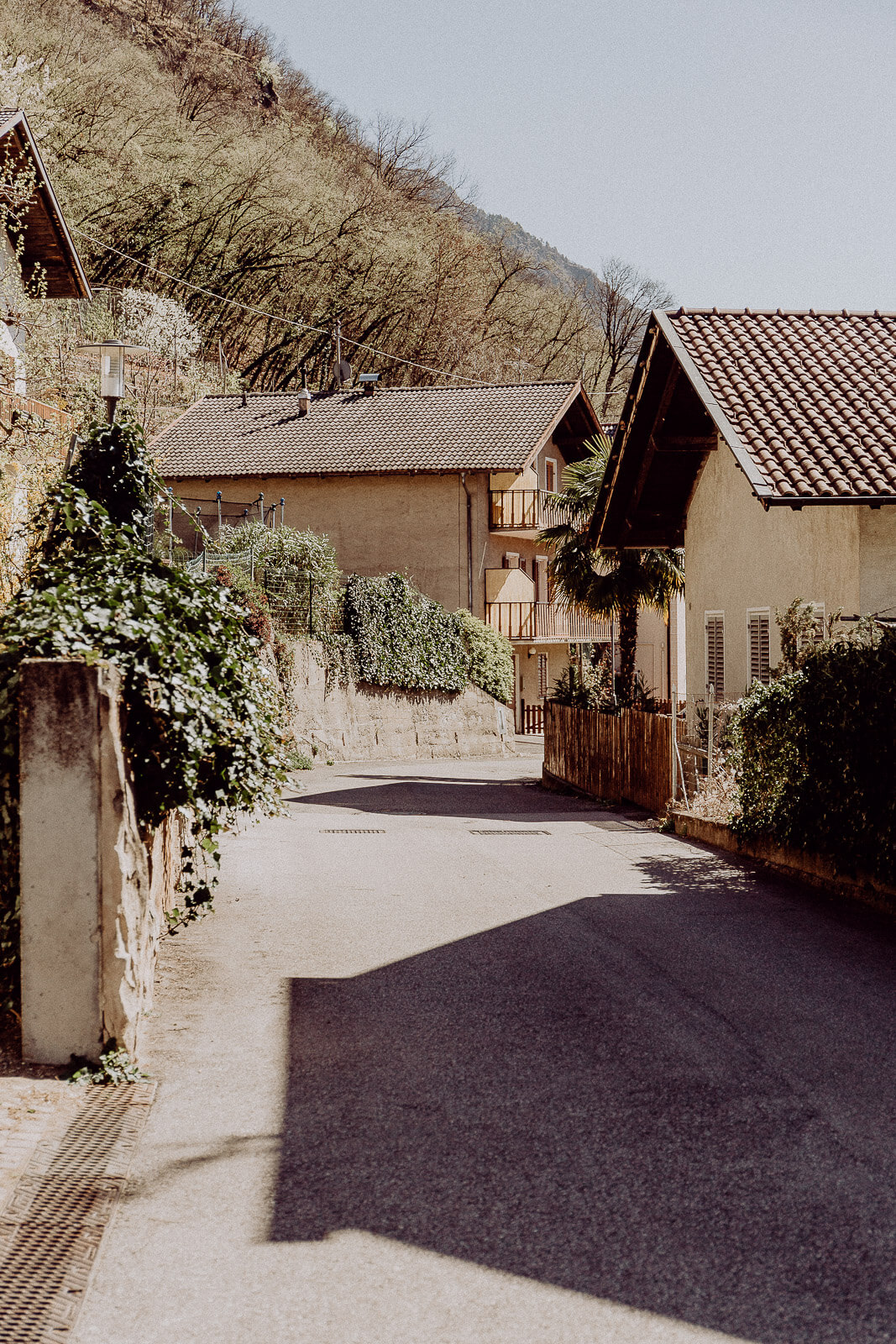 lana, Lana Italien, Lana Südtirol, Reise nach Südtirol, Reisen Südtirol vegan, Vegan Reisen, Vegan Reisen Blog, Südtirol Bio Hotel, Bio Hotel, Bio Reisen Italien, Reisen Italien Blog, Reisen Italien Erfahrungen, Reisen Südtirol Erfahrungen, Bozen Italien Blog