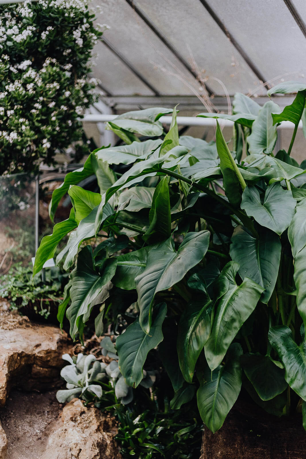 leistungsgesellschaft, 40 stunden Woche, introvertiert arbeiten, hochsensibel arbeiten, hochsensibel arbeiten Vollzeit, Vollzeit arbeiten Probleme, Vollzeit 40 Stunden arbeiten introvertiert, introvertierte Vollzeit arbeiten