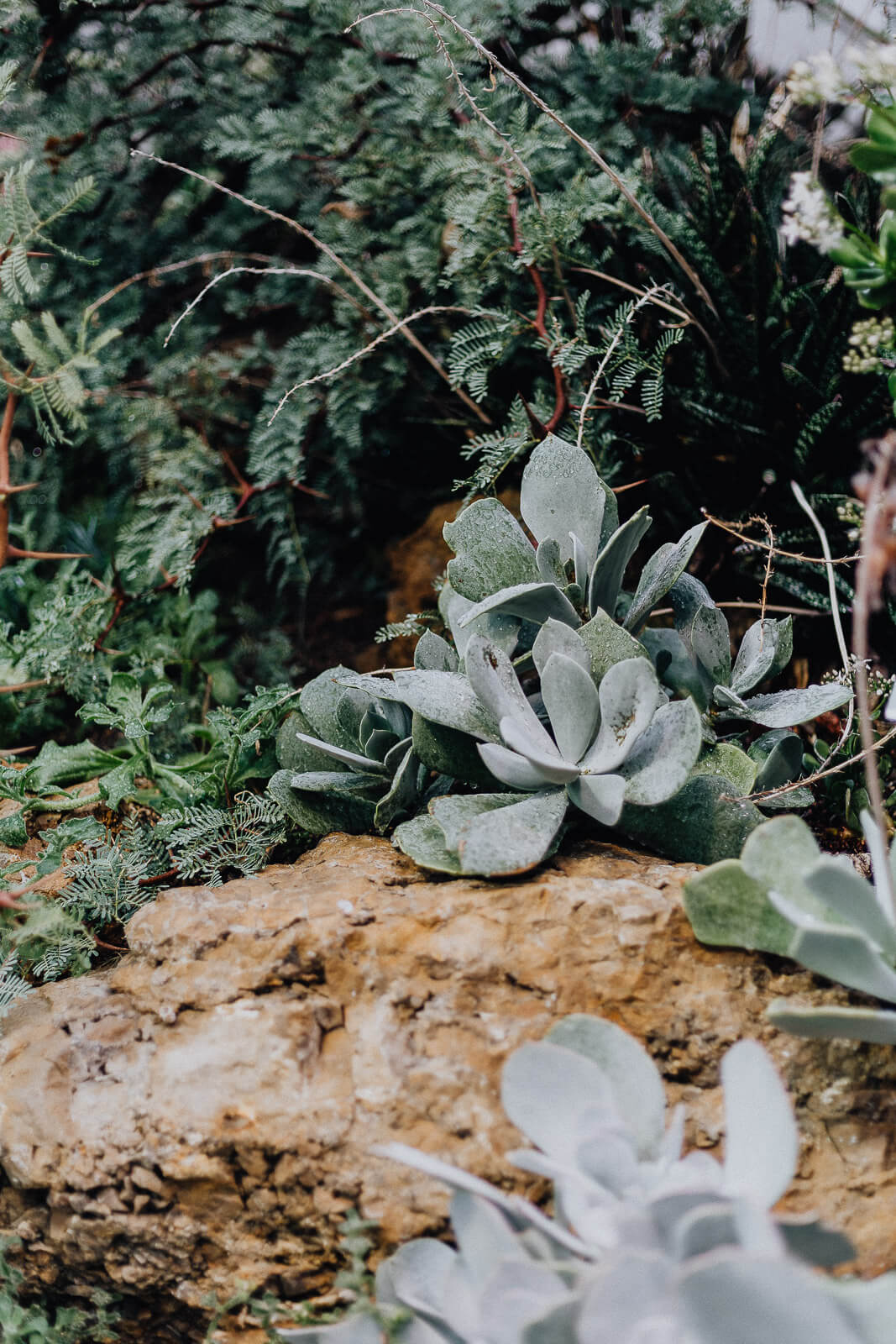 leistungsgesellschaft, 40 stunden Woche, introvertiert arbeiten, hochsensibel arbeiten, hochsensibel arbeiten Vollzeit, Vollzeit arbeiten Probleme, Vollzeit 40 Stunden arbeiten introvertiert, introvertierte Vollzeit arbeiten