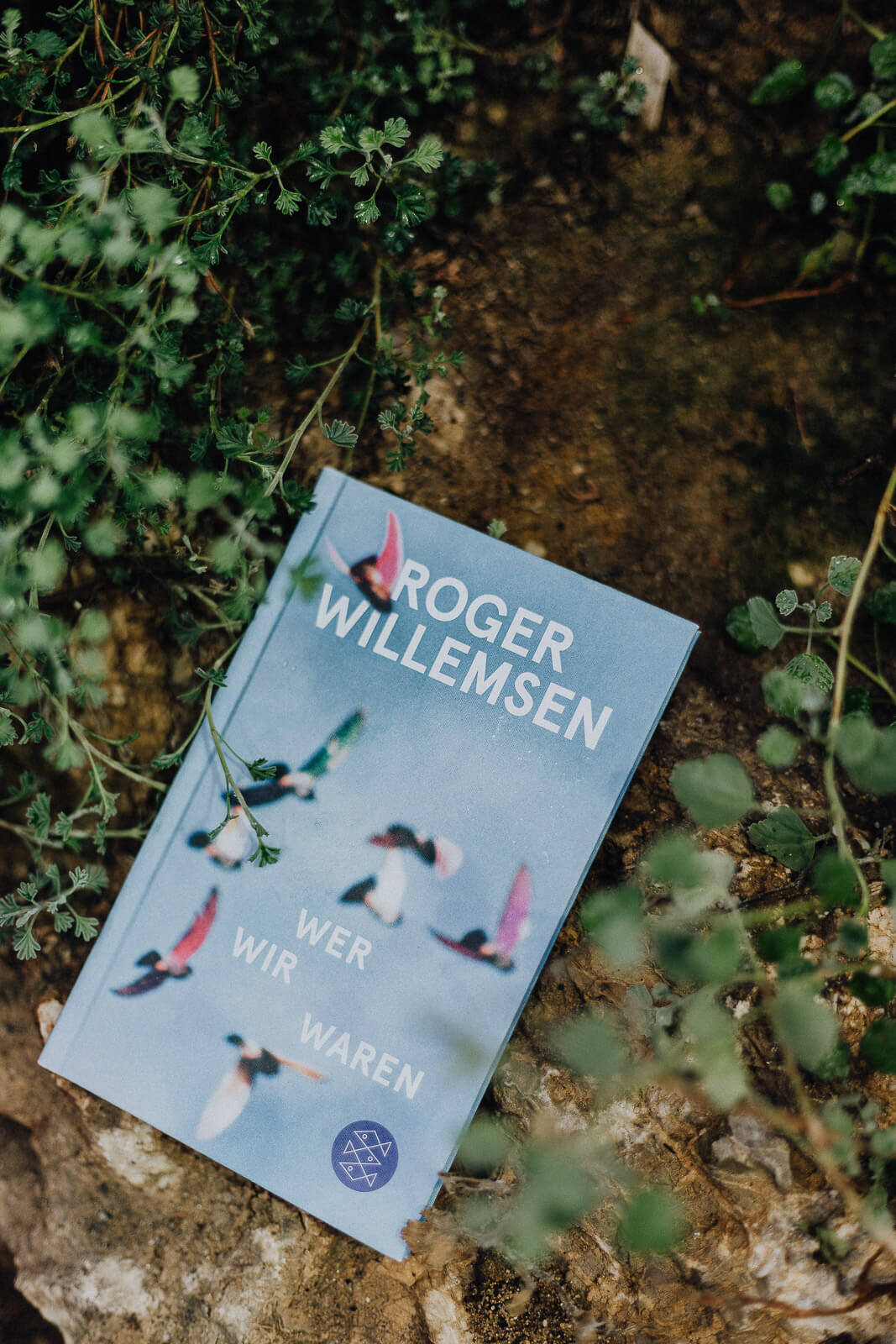 Lesejahr 2018, Lesejahr, Bücher, Buchempfehlungen, gute Bücher, Bücher 2018, Buchempfehlungen 2018, Bücherliste 2018, Lesen, Buchblog, Bücherblog, Bücherliebe, feministische Bücher, nachhaltige Bücher