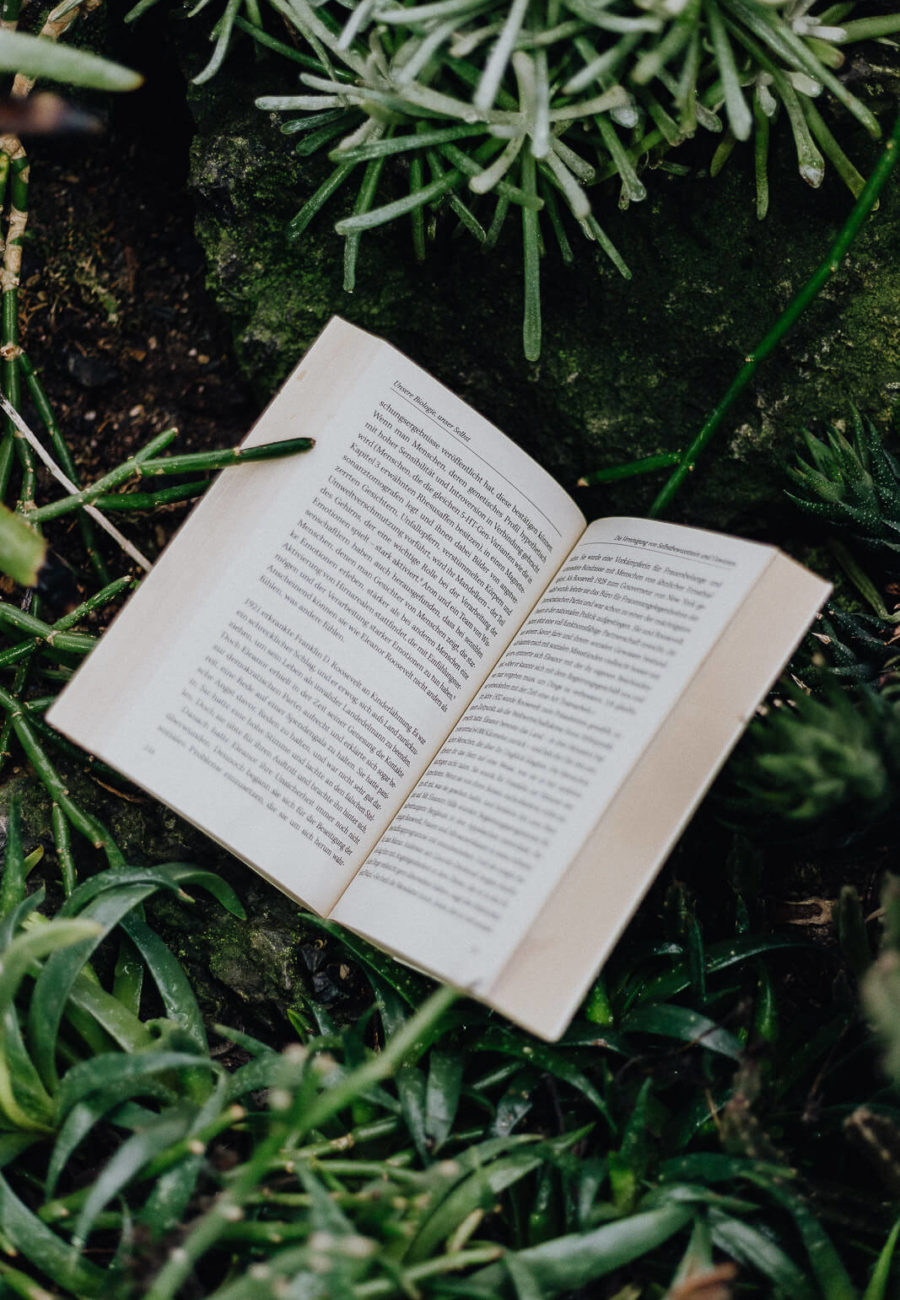 Lesejahr 2018, Lesejahr, Bücher, Buchempfehlungen, gute Bücher, Bücher 2018, Buchempfehlungen 2018, Bücherliste 2018, Lesen, Buchblog, Bücherblog, Bücherliebe, feministische Bücher, nachhaltige Bücher