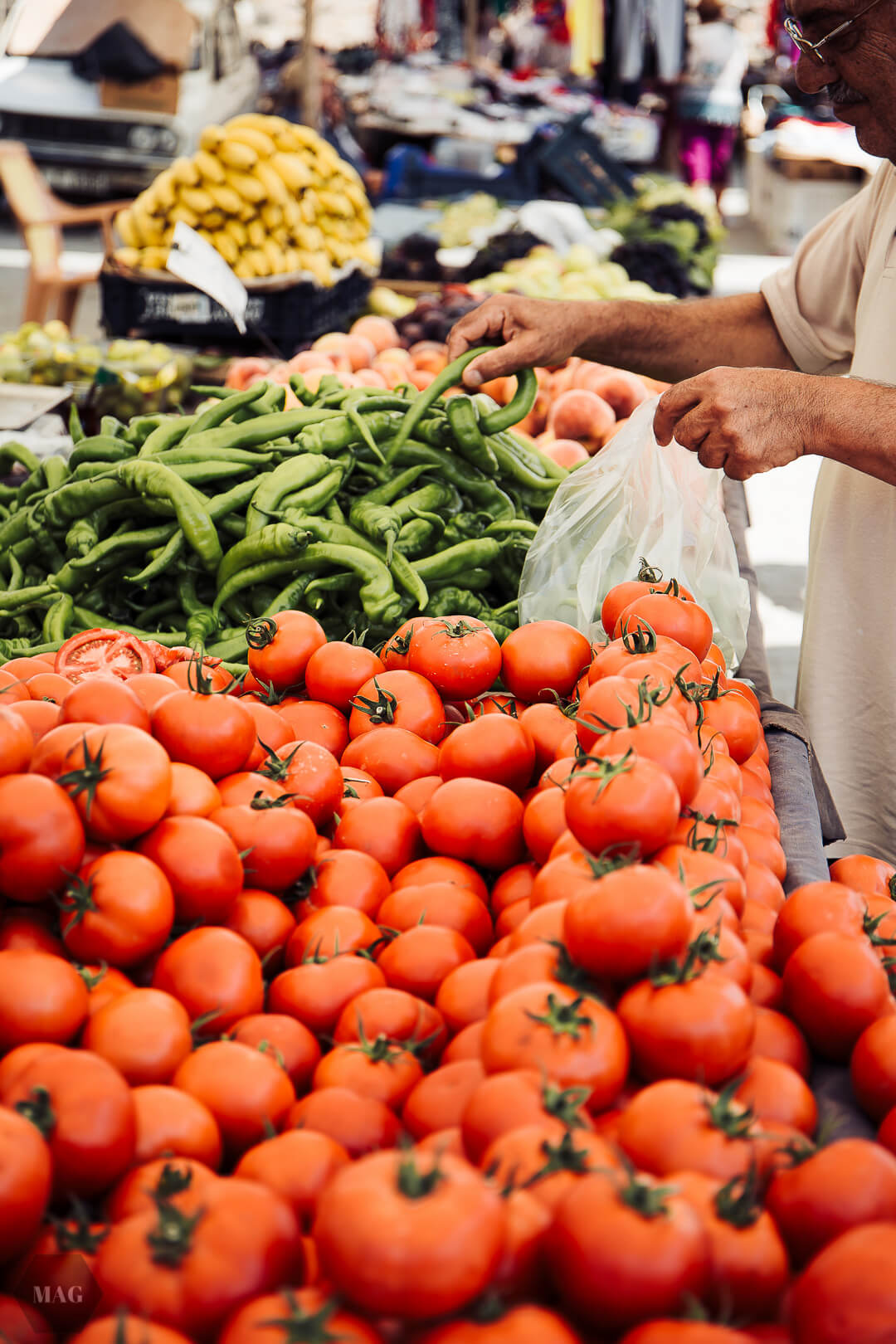 nachhaltig reisen, vegan reisen, reisen vegan türkei, vegan reisen türkei, nachhaltig reisen türkei, nachhaltig reisen weniger müll, less waste reisen, zero waste reisen, reisen in der türkei wenig müll