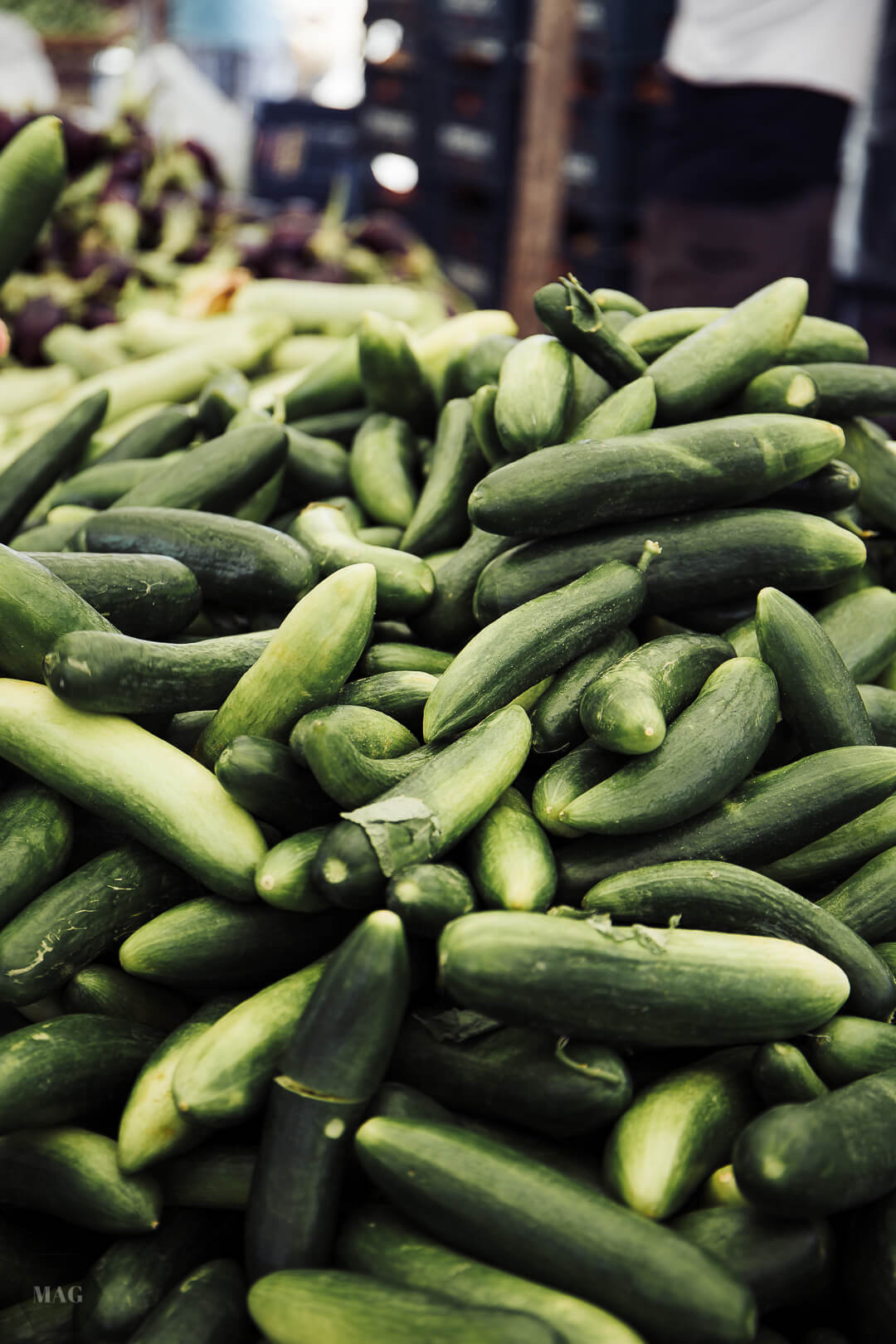 nachhaltig reisen, vegan reisen, reisen vegan türkei, vegan reisen türkei, nachhaltig reisen türkei, nachhaltig reisen weniger müll, less waste reisen, zero waste reisen, reisen in der türkei wenig müll