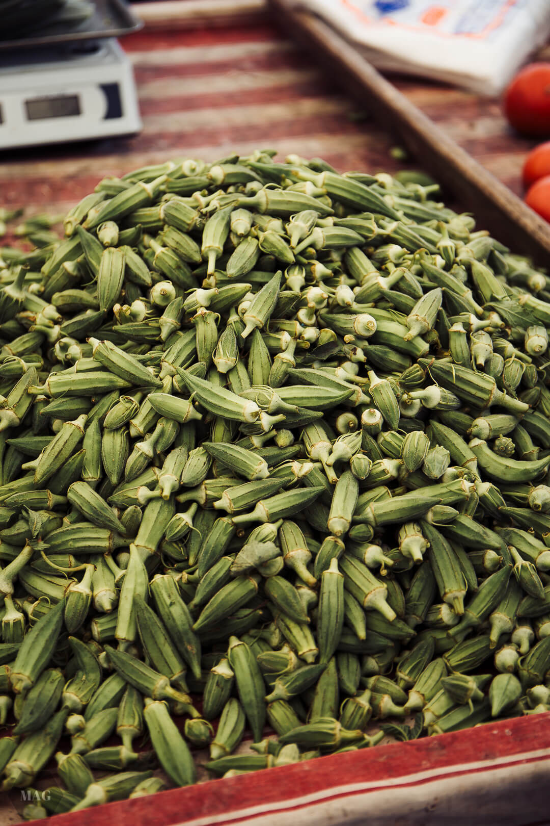 nachhaltig reisen, vegan reisen, reisen vegan türkei, vegan reisen türkei, nachhaltig reisen türkei, nachhaltig reisen weniger müll, less waste reisen, zero waste reisen, reisen in der türkei wenig müll