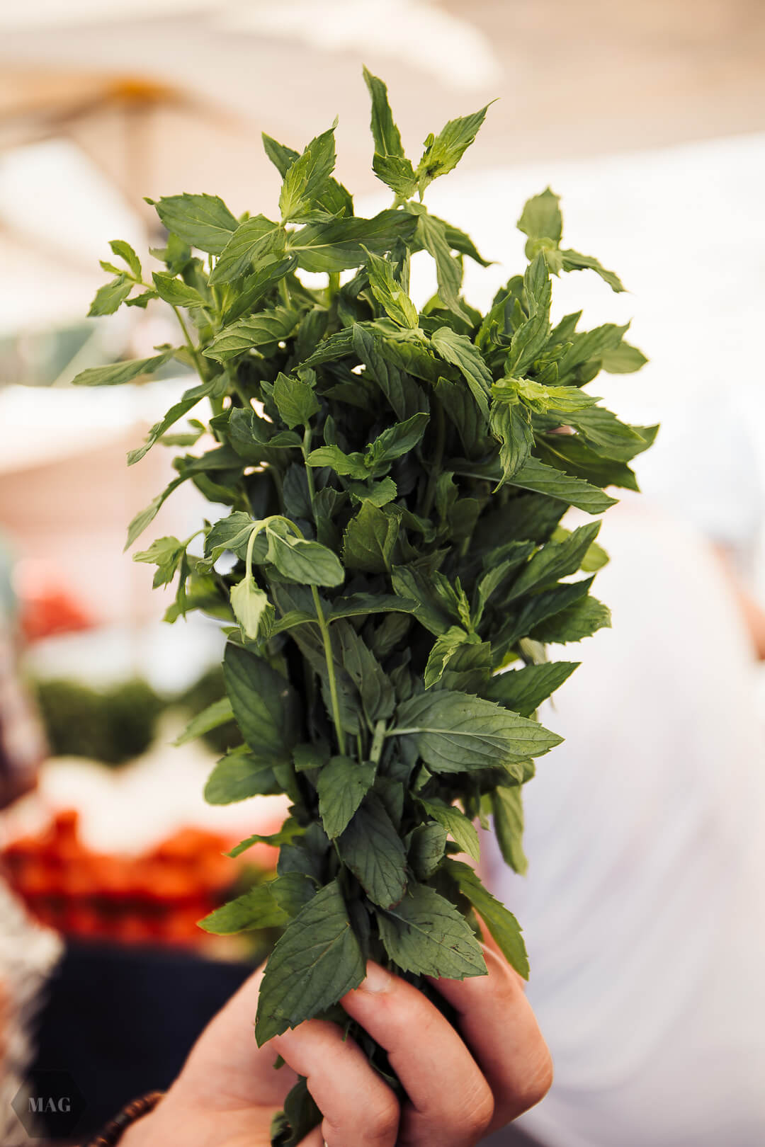 nachhaltig reisen, vegan reisen, reisen vegan türkei, vegan reisen türkei, nachhaltig reisen türkei, nachhaltig reisen weniger müll, less waste reisen, zero waste reisen, reisen in der türkei wenig müll