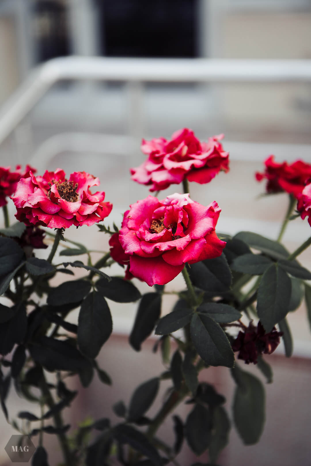 nachhaltig reisen, vegan reisen, reisen vegan türkei, vegan reisen türkei, nachhaltig reisen türkei, nachhaltig reisen weniger müll, less waste reisen, zero waste reisen, reisen in der türkei wenig müll