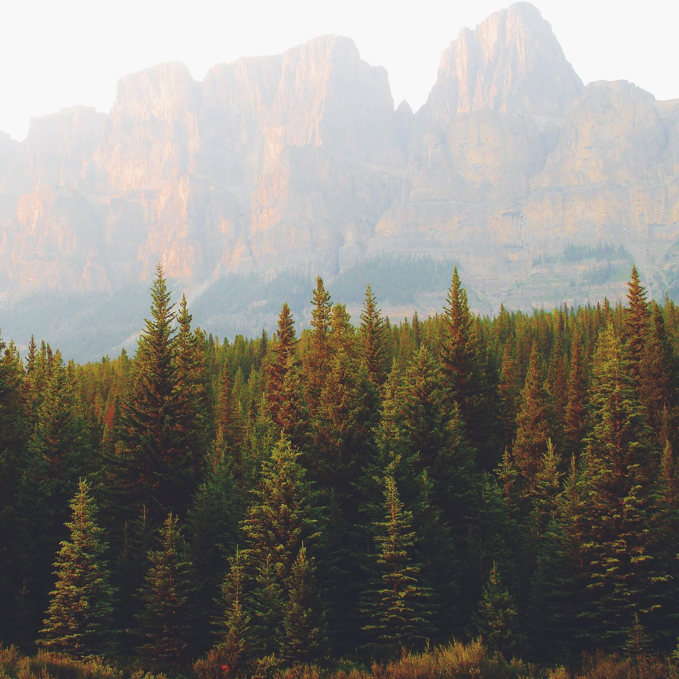 nachhaltige vorsätze, nachhaltig ins neue Jahr, nachhaltigkeit, gute vorsätze, nachhaltiger leben, nachhaltiger alltag