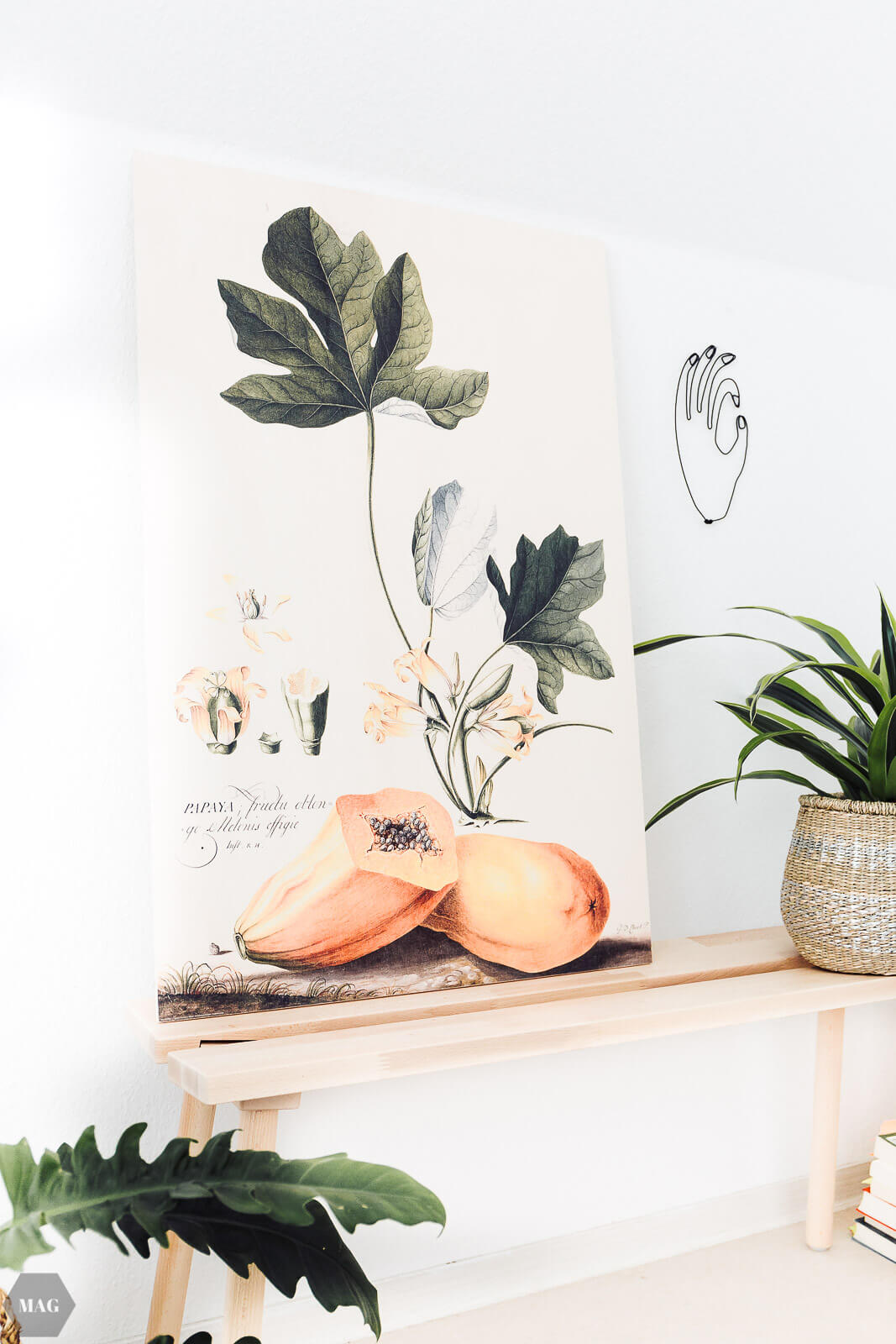 Posterlounge, poster, Bilder auf holz, Holzbilder, auf holz drucken, fsc holz Bilder, fsc holz Posterlounge, pflanzenprints, botanische Wandbilder, Wandbild botanisch