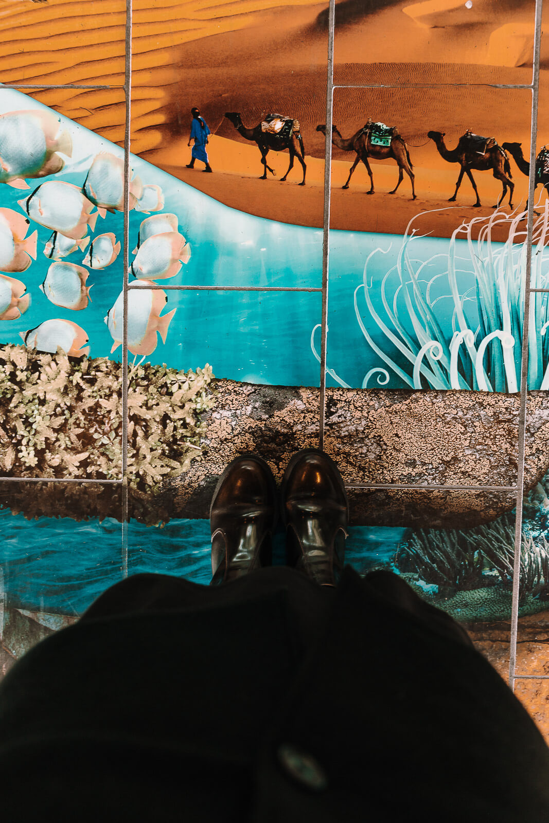 Bremerhaven, Bremerhaven Klimahaus, Klimahaus Bremerhaven, Restessen, Zero Waste Kochen, Zero Waste Kitchen, Zero Waste Essen, Lebensmittelverschwendung, Lebensmittel, Atlantic Hotel Sail City Bremerhaven, Atlantic Hotel, Atlantic Hotel Sail City, Bremerhaven Blog, Bremerhaven Reisen, Resteessen