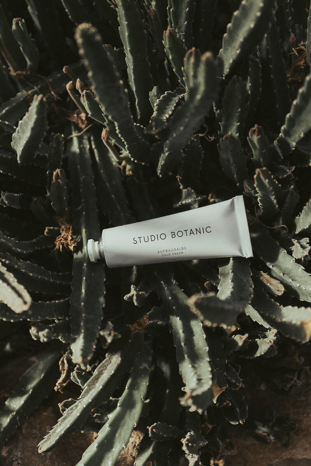 Studio Botanic, Naturkosmetik, natürliche Kosmetik, Naturkosmetik vegan, Öko Kosmetik, Öko Blogger, Eco Blogger, nachhaltige Kosmetik, nachhaltige Pflege für die Haut, nachhaltige Creme, Creme vegan nachhaltig, Creme Gesicht öko