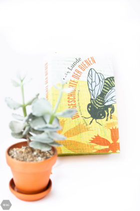 summer reads, bücher im somme, leseliste sommer, vegan blog, vegan, bücher lesen blog, bücher blogger, blogger Leseliste, blog bücher, bücher blog, Sommer lesen, buchtipps blogger, still Susan Cain Rezension