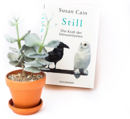 summer reads, bücher im somme, leseliste sommer, vegan blog, vegan, bücher lesen blog, bücher blogger, blogger Leseliste, blog bücher, bücher blog, Sommer lesen, buchtipps blogger, still Susan Cain Rezension