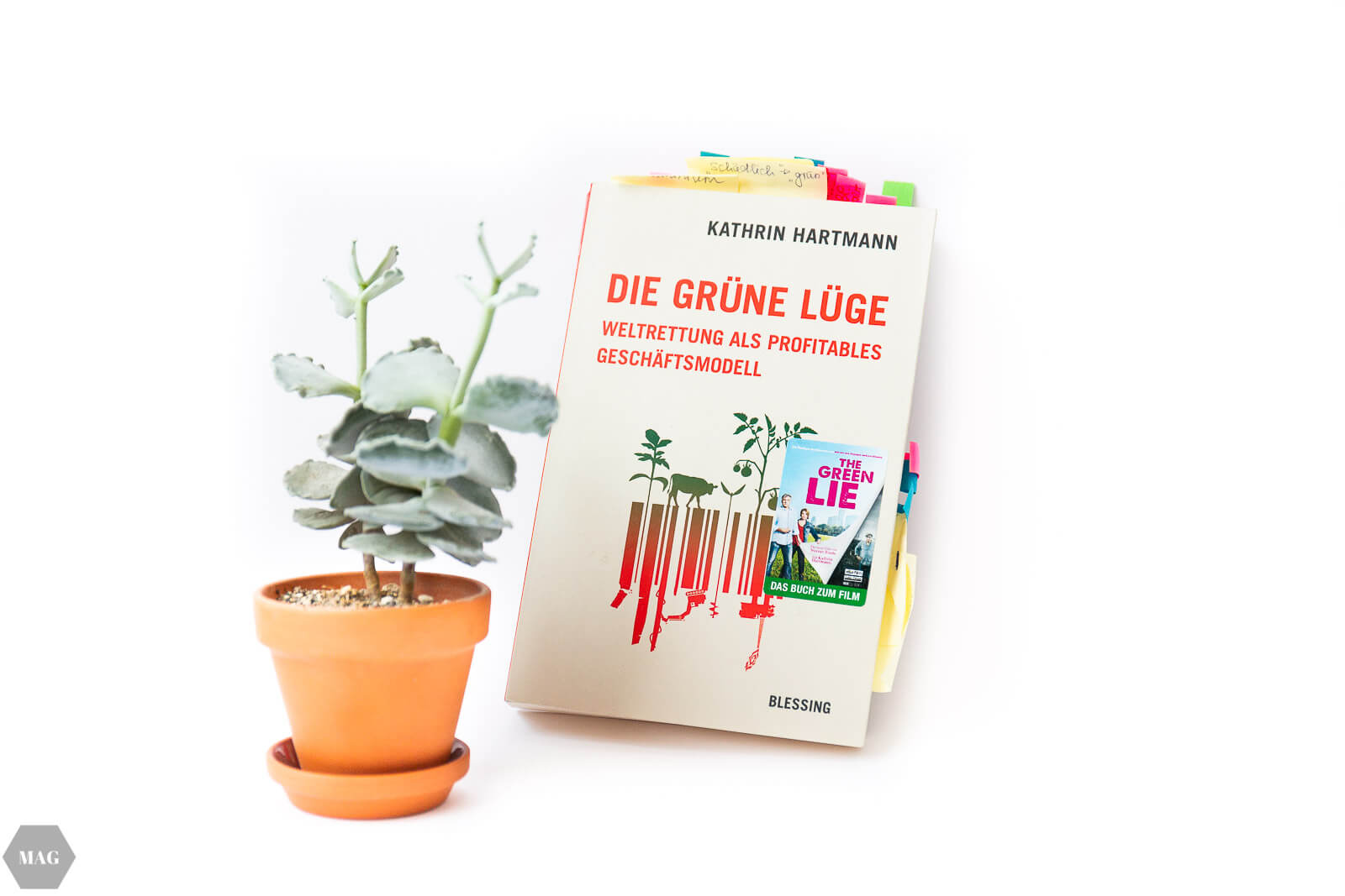 summer reads, bücher im somme, leseliste sommer, vegan blog, vegan, bücher lesen blog, bücher blogger, blogger Leseliste, blog bücher, bücher blog, Sommer lesen, buchtipps blogger, still Susan Cain Rezension