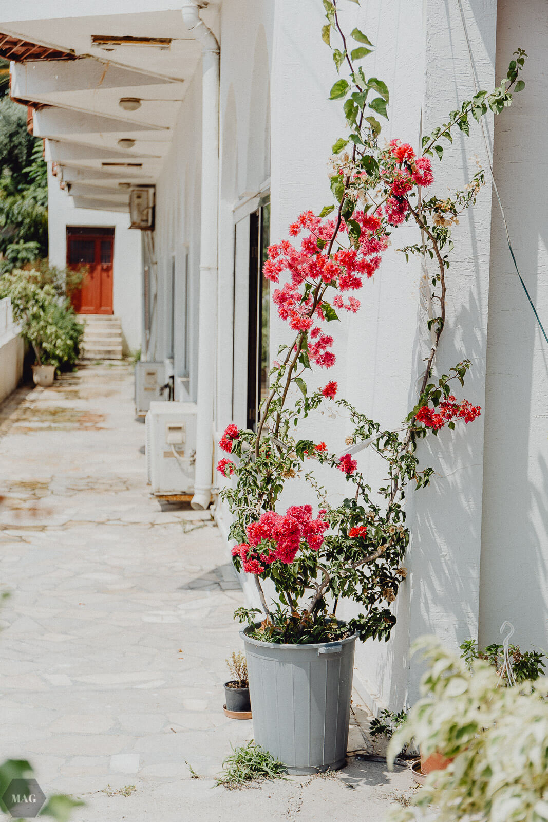yumurtalik, Türkei, reise in die Türkei, Türkei Reisebericht, Adana Reisebericht, Türkei reisen Bericht, Türkei Adana reisen, yumurtalik Türkei Reisebericht, blogger reisen, reiseblogger