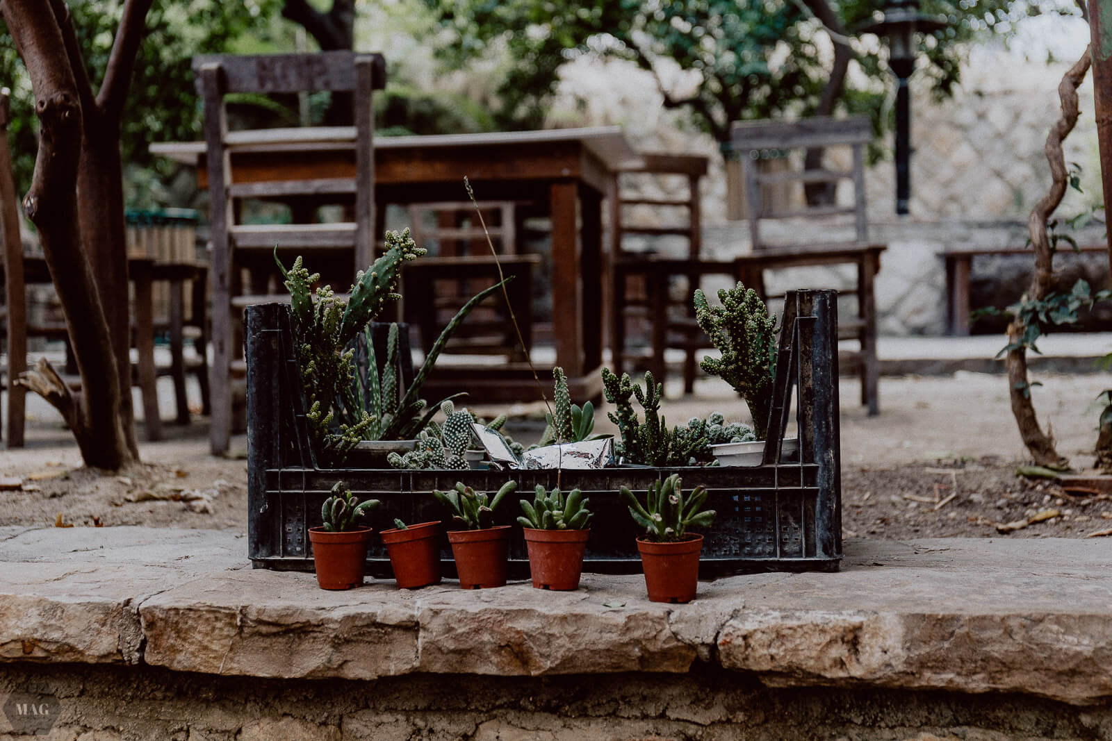 yumurtalik, Türkei, reise in die Türkei, Türkei Reisebericht, Adana Reisebericht, Türkei reisen Bericht, Türkei Adana reisen, yumurtalik Türkei Reisebericht, blogger reisen, reiseblogger