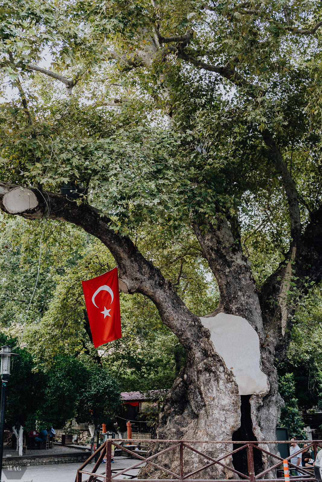 yumurtalik, Türkei, reise in die Türkei, Türkei Reisebericht, Adana Reisebericht, Türkei reisen Bericht, Türkei Adana reisen, yumurtalik Türkei Reisebericht, blogger reisen, reiseblogger