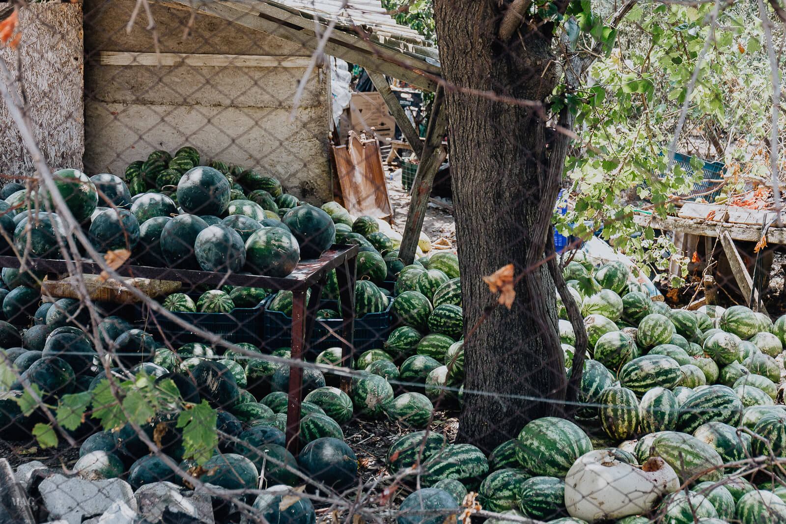 yumurtalik, Türkei, reise in die Türkei, Türkei Reisebericht, Adana Reisebericht, Türkei reisen Bericht, Türkei Adana reisen, yumurtalik Türkei Reisebericht, blogger reisen, reiseblogger