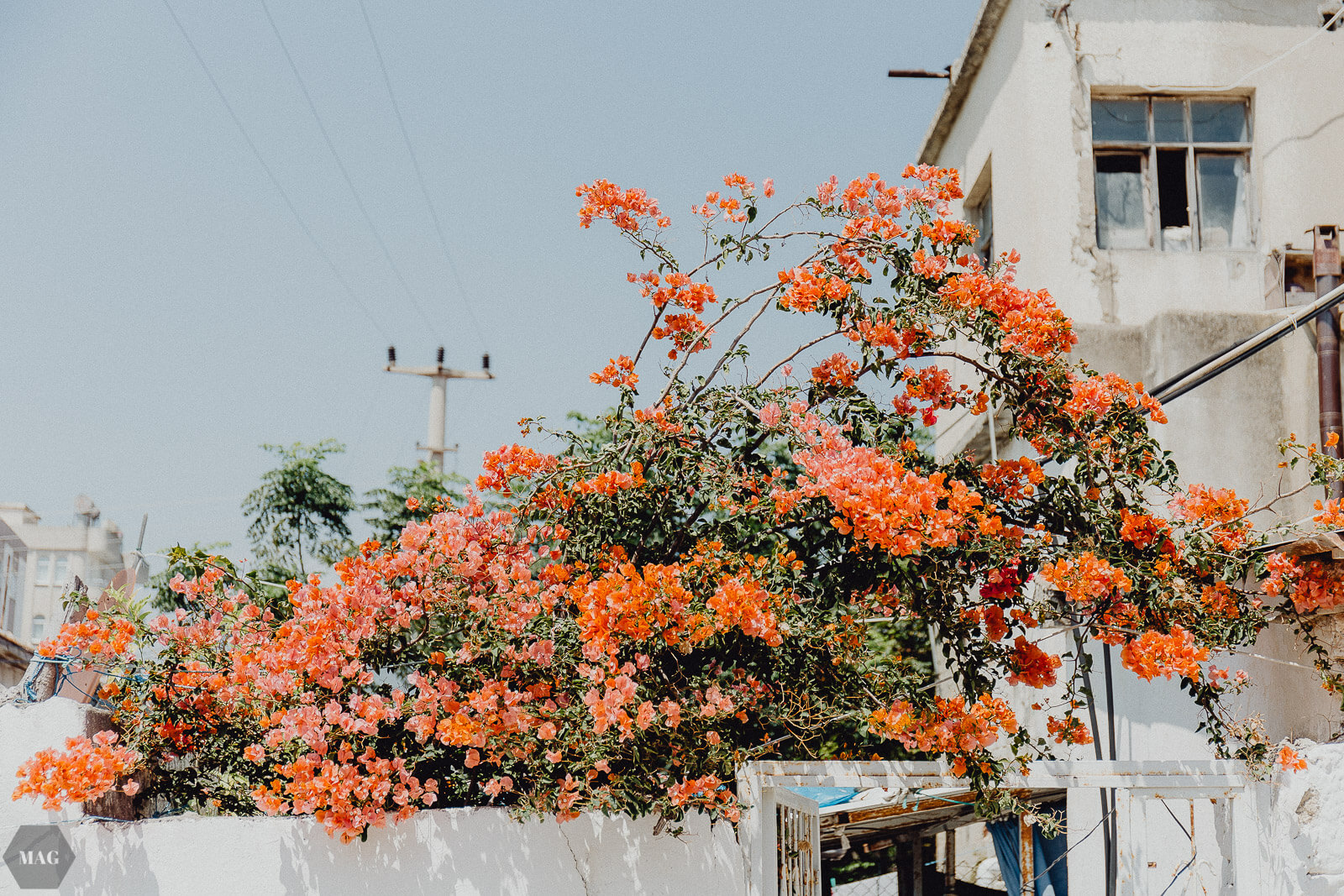 yumurtalik, Türkei, reise in die Türkei, Türkei Reisebericht, Adana Reisebericht, Türkei reisen Bericht, Türkei Adana reisen, yumurtalik Türkei Reisebericht, blogger reisen, reiseblogger