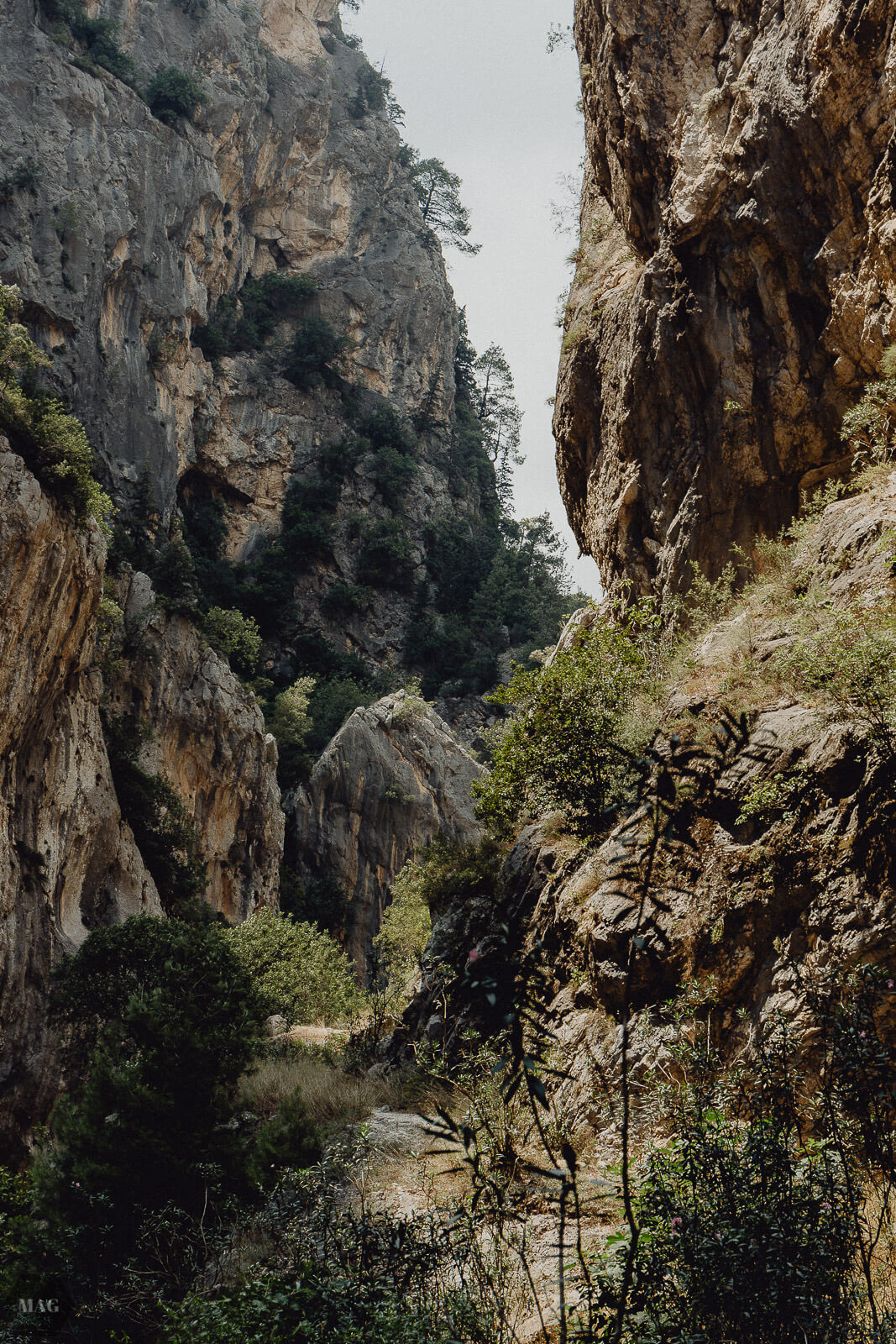 yumurtalik, Türkei, reise in die Türkei, Türkei Reisebericht, Adana Reisebericht, Türkei reisen Bericht, Türkei Adana reisen, yumurtalik Türkei Reisebericht, blogger reisen, reiseblogger