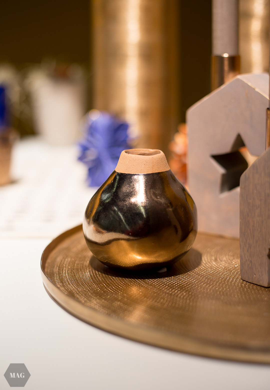 veganfach 2016, veganfach, veganmesse, messe für veganen konsum, vegane messe, vegane produkte