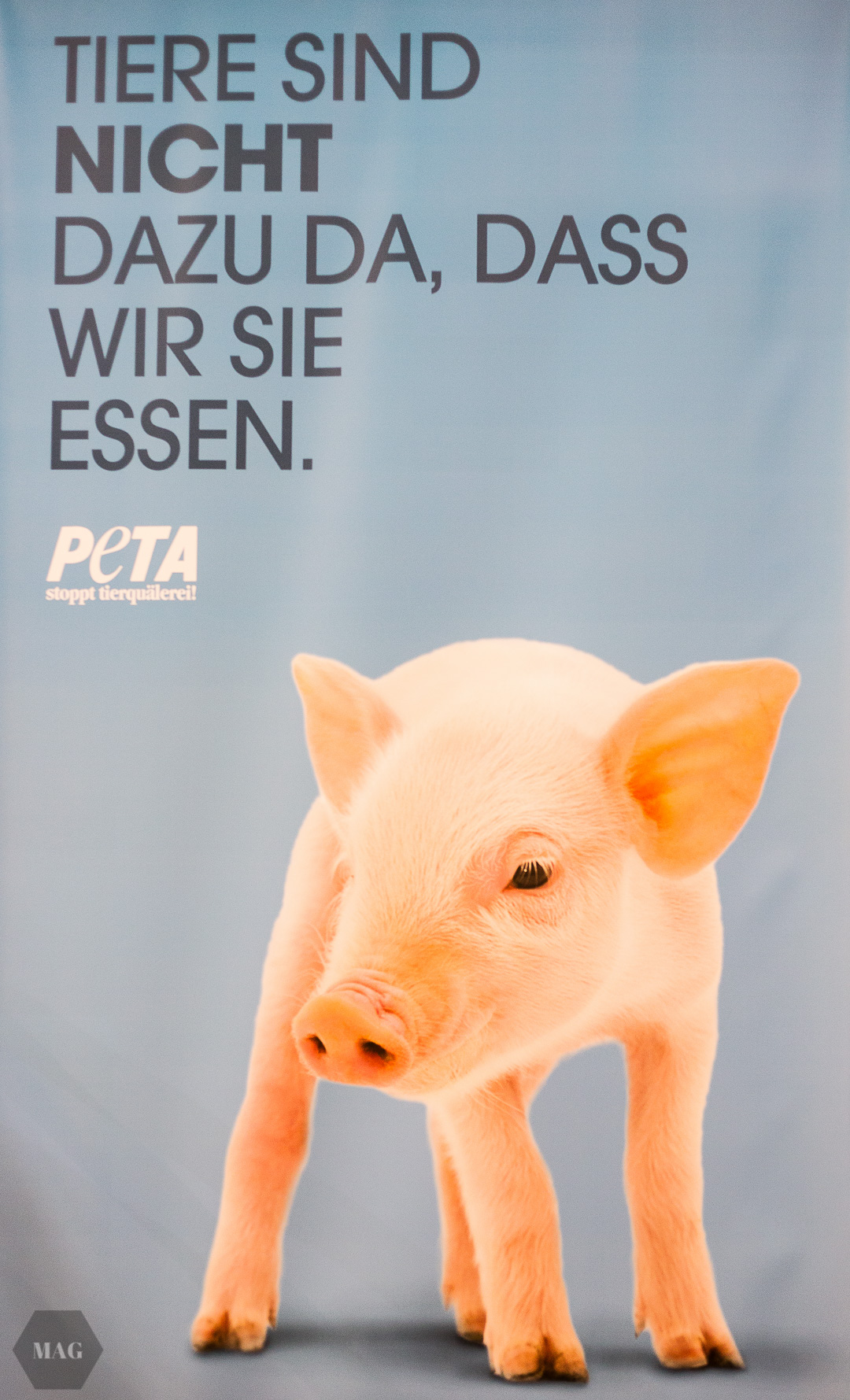 veganfach 2016, veganfach, veganmesse, messe für veganen konsum, vegane messe, vegane produkte