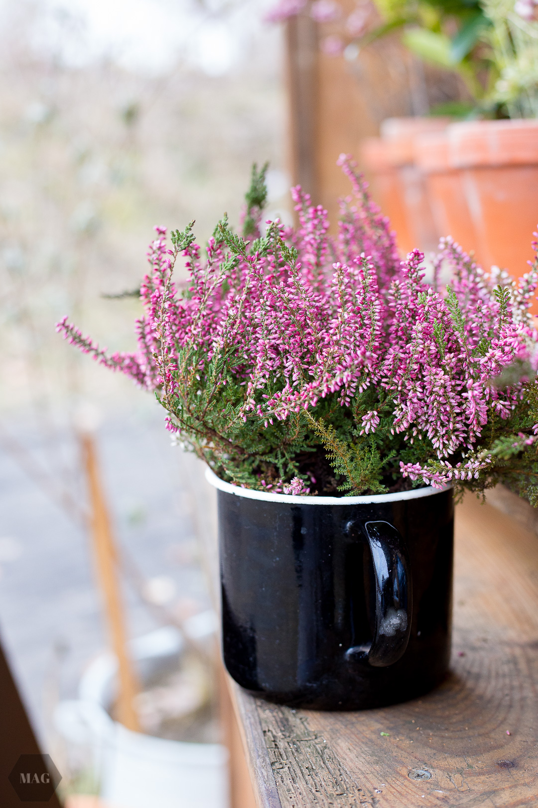 Ölmühle Schönefeld, Ölmühle, Wo kommt das Öl her, Wie wird Öl hergestellt, Ölmühle Münster, traditionelle Ölmühle, hochwertiges Öl, Schönefeld, Öl aus Münster